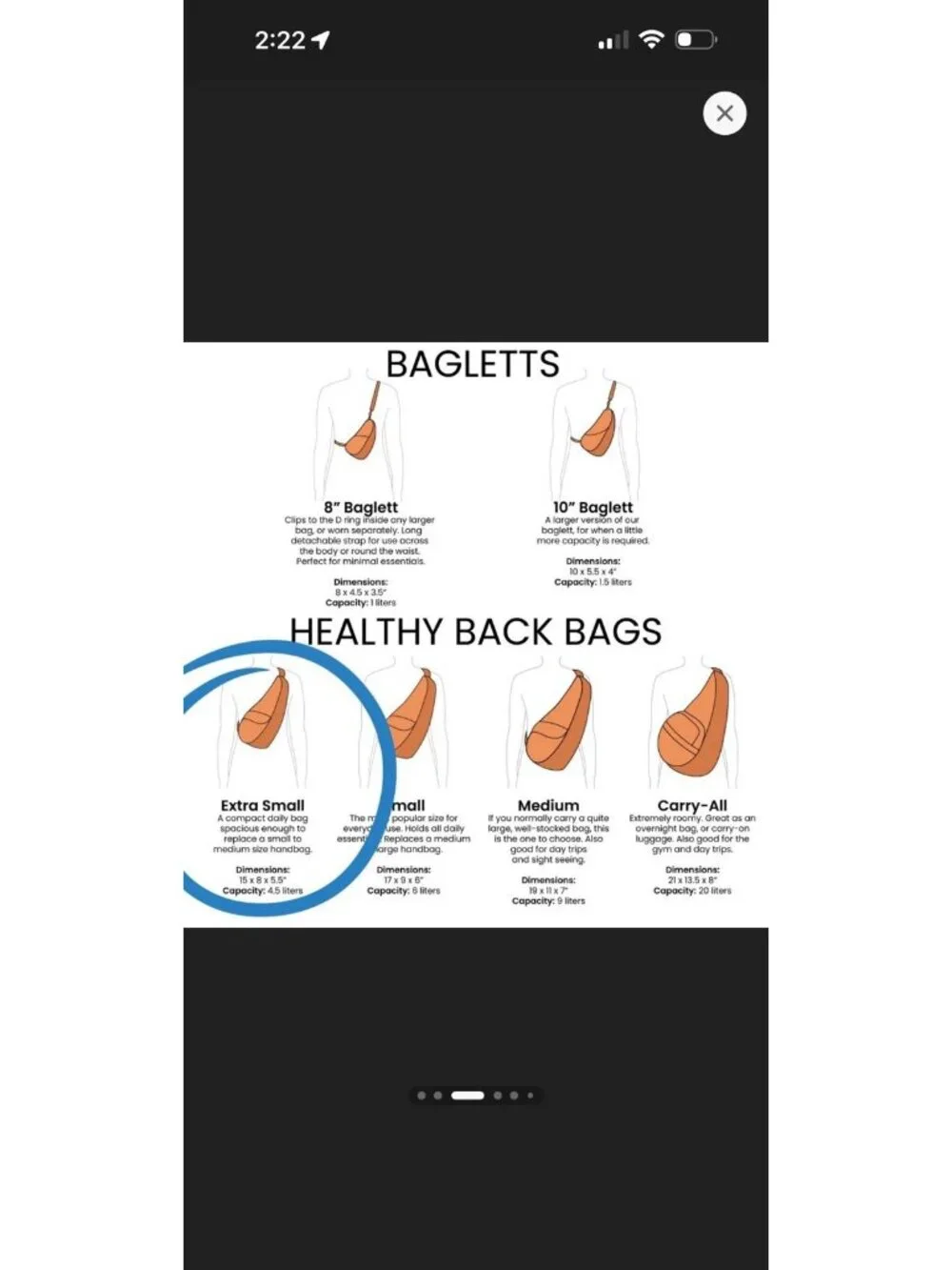 AmeriBag Healthy Back Bag 19
